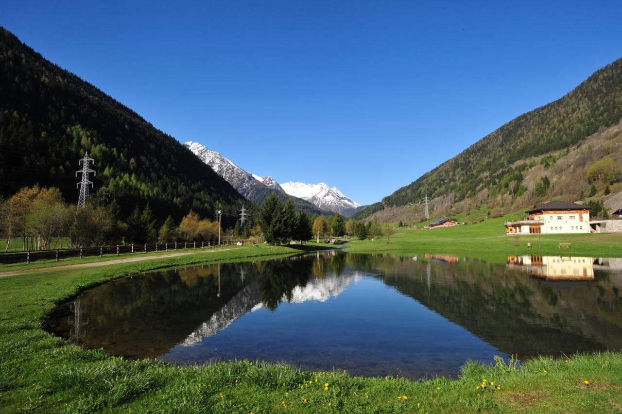 Agritur Volpaia Rooms And Apartments Вермильо Экстерьер фото